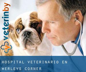 Hospital veterinario en Werleys Corner