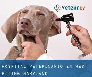 Hospital veterinario en West Riding (Maryland)