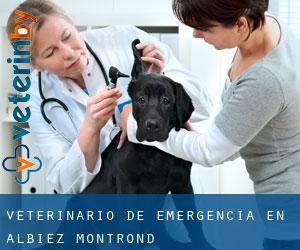 Veterinario de emergencia en Albiez-Montrond