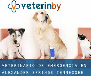 Veterinario de emergencia en Alexander Springs (Tennessee)