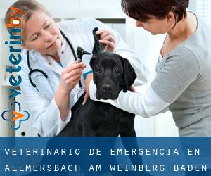 Veterinario de emergencia en Allmersbach am Weinberg (Baden-Württemberg)
