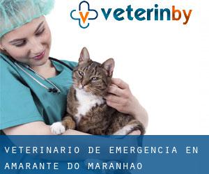 Veterinario de emergencia en Amarante do Maranhão