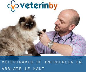 Veterinario de emergencia en Arblade-le-Haut