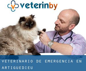Veterinario de emergencia en Artiguedieu