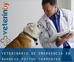 Veterinario de emergencia en Bagneux (Poitou-Charentes)