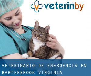 Veterinario de emergencia en Barterbrook (Virginia)