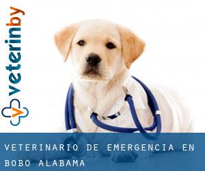 Veterinario de emergencia en Bobo (Alabama)