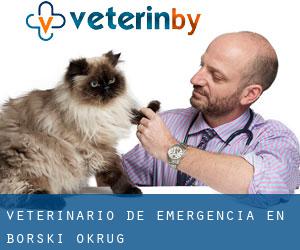 Veterinario de emergencia en Borski Okrug