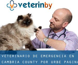 Veterinario de emergencia en Cambria County por urbe - página 5