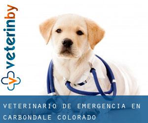 Veterinario de emergencia en Carbondale (Colorado)