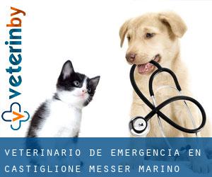Veterinario de emergencia en Castiglione Messer Marino