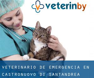 Veterinario de emergencia en Castronuovo di Sant'Andrea
