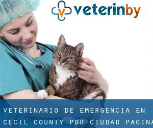 Veterinario de emergencia en Cecil County por ciudad - página 6