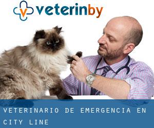 Veterinario de emergencia en City Line