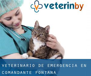 Veterinario de emergencia en Comandante Fontana
