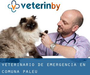 Veterinario de emergencia en Comuna Paleu