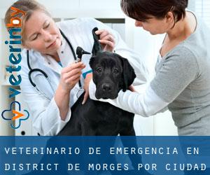 Veterinario de emergencia en District de Morges por ciudad - página 1