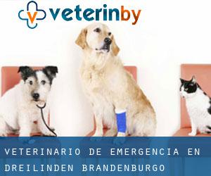 Veterinario de emergencia en Dreilinden (Brandenburgo)