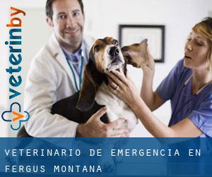 Veterinario de emergencia en Fergus (Montana)