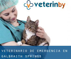 Veterinario de emergencia en Galbraith Springs
