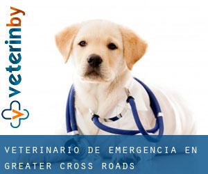 Veterinario de emergencia en Greater Cross Roads