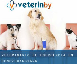 Veterinario de emergencia en Hongzhuangyang