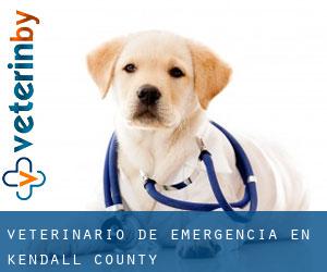 Veterinario de emergencia en Kendall County Veterinario de emergencia en Kendall County