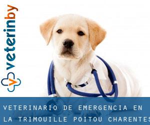 Veterinario de emergencia en La Trimouille (Poitou-Charentes)