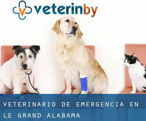 Veterinario de emergencia en Le Grand (Alabama)