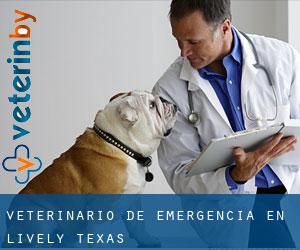 Veterinario de emergencia en Lively (Texas)