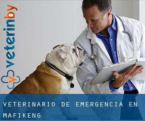 Veterinario de emergencia en Mafikeng