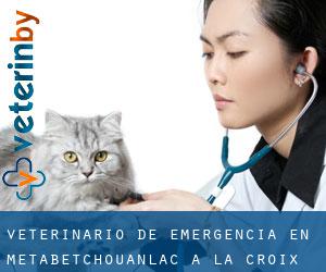 Veterinario de emergencia en Metabetchouan–Lac-a-la-Croix