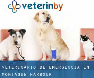 Veterinario de emergencia en Montague Harbour