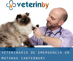 Veterinario de emergencia en Motunau (Canterbury)