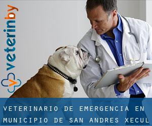 Veterinario de emergencia en Municipio de San Andrés Xecul