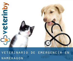 Veterinario de emergencia en Namekagon