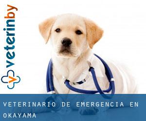 Veterinario de emergencia en Okayama Veterinario de emergencia en Okayama