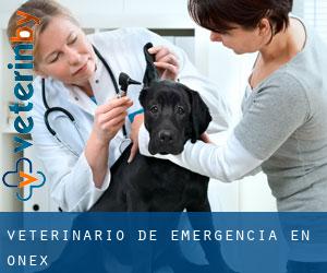 Veterinario de emergencia en Onex