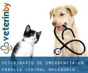 Veterinario de emergencia en Paralía (Central Macedonia)