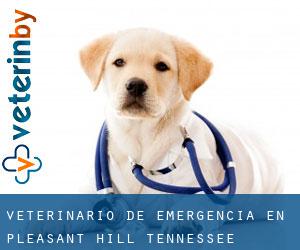 Veterinario de emergencia en Pleasant Hill (Tennessee)