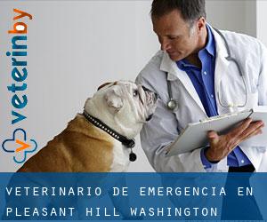 Veterinario de emergencia en Pleasant Hill (Washington)