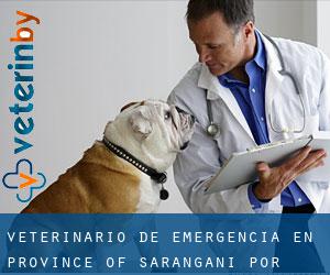Veterinario de emergencia en Province of Sarangani por ciudad importante - página 1
