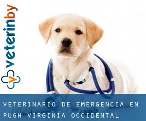 Veterinario de emergencia en Pugh (Virginia Occidental)