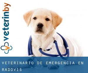 Veterinario de emergencia en Radoviš Veterinario de emergencia en Radoviš