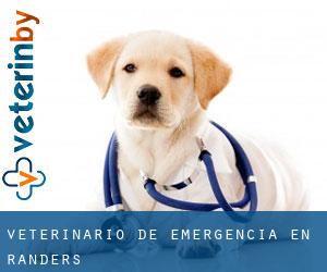 Veterinario de emergencia en Randers Veterinario de emergencia en Randers
