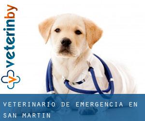 Veterinario de emergencia en San Martin