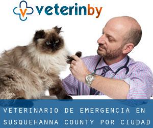 Veterinario de emergencia en Susquehanna County por ciudad - página 1