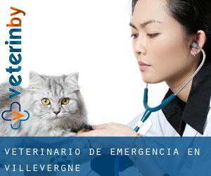 Veterinario de emergencia en Villevergne