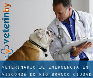 Veterinario de emergencia en Visconde do Rio Branco (Ciudad)