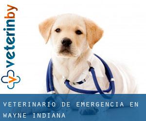 Veterinario de emergencia en Wayne (Indiana) Veterinario de emergencia en Wayne (Indiana)